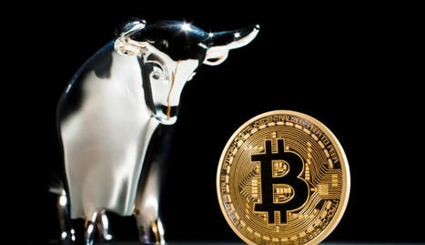 Bitcoin Is Up 120% This Year, Here Are Four Other Cryptos To Buy, HODL Or Sell | Online Marketing Tools | Scoop.it