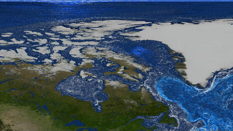 GREENLAND: glacial runoff is powering explosions of ocean life | LE GRAND NORD | Scoop.it