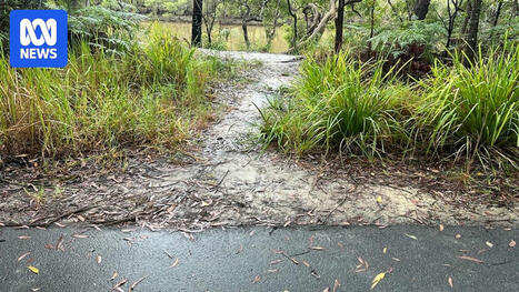 Coffs Harbour sexual assault survivor warns her attacker still free - ABC News | Operation Oya | Scoop.it