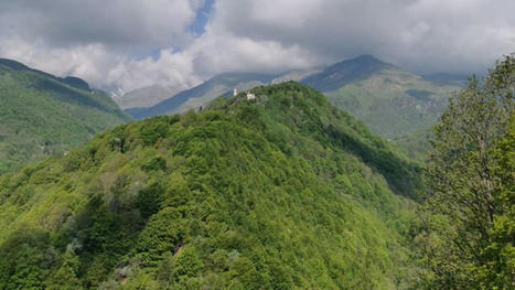 Hautes-Alpes : un concours transfrontalier pour la biodiversité du Mont-Viso | Histoires Naturelles | Scoop.it