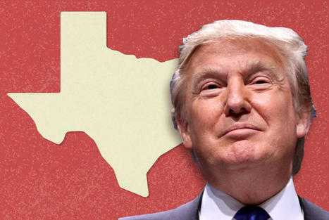TX Lawyer Who Dropped Case Against Trump U. Absolutely Coincidentally Nominated For Federal Bench | THE OTHER EYEWITTNESS - news | Scoop.it