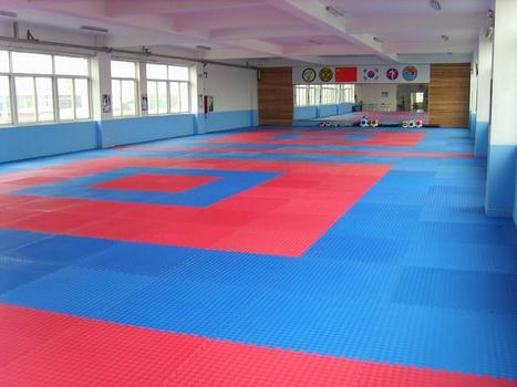 Judo Mats Wholesaler In India Judomats Sco