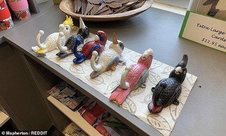 Les crochets pour oiseaux de la boutique de cadeaux suscitent des blagues en ligne, mais pouvez-vous repérer ce qui ne va pas avec eux? | test | Scoop.it