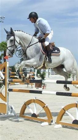 Chaintr&eacute; | Les galops ont commenc&eacute; - Le Journal de Sa&ocirc;ne et Loire | Cheval et sport | Scoop.it