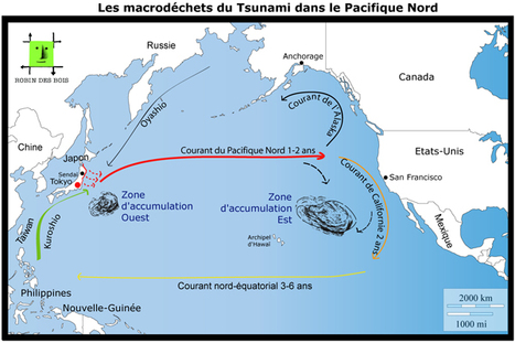 Robin des Bois - Séisme et tsunami au Japon, communiqué n°16 | Japan Tsunami | Scoop.it