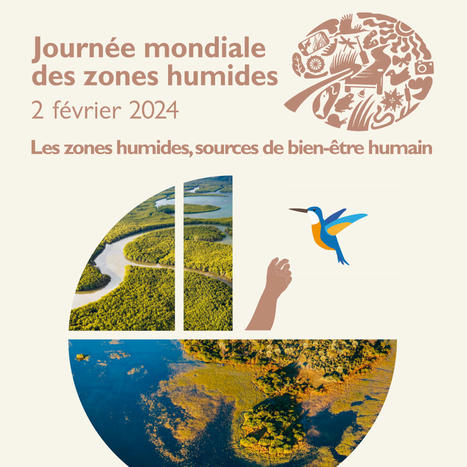 Bilan de la Journée mondiale des zones humides 2024 | Biodiversité | Scoop.it