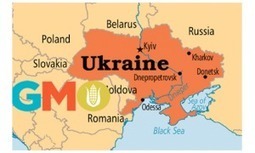 Ukraine : la culture OGM, monnaie d’échange du FMI & de banques occidentales pour accorder des prêts ? | Koter Info - La Gazette de LLN-WSL-UCL | Scoop.it
