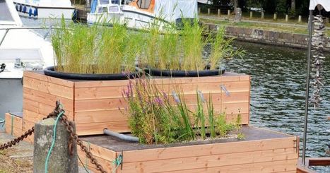 Une station de phyto-épuration flottante | Build Green, pour un habitat écologique | Scoop.it