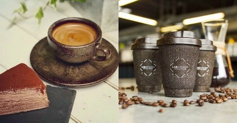 Allemagne : ils fabriquent des tasses et gobelets à base de marc de café | Meilleure revue de presse de l'univers connu | Scoop.it