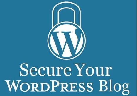 WordPress va forcer tous les webmasters à installer le HTTPS en 2017 ! | L'actualité sur la sécurité en vrac | Scoop.it
