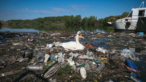 L&rsquo;Europe s&rsquo;accorde pour durcir sa loi afin de lutter contre la pollution aux microplastiques | Biodiversit&eacute;, &Eacute;cologie et Environnement | Scoop.it