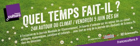 Journée Mondiale de l'Environnement - France Culture | Variétés entomologiques | Scoop.it