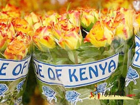 Kenya : Les exportations de fleurs atteindront 125 000 tonnes en 2014 | Questions de développement ... | Scoop.it