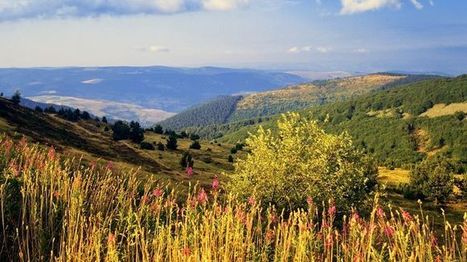 On fête les 50 ans du Parc National des Cévennes - Émission sur France Bleu Gard Lozère | Biodiversité | Scoop.it