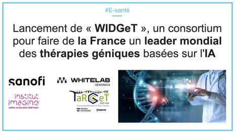 🧬 Lancement de « WIDGeT », un consortium pour faire de la France un leader mondial des thérapies géniques basées sur l'IA | innovation & e-health | Scoop.it
