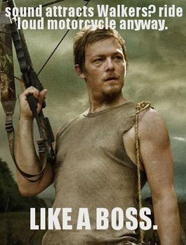 The Walking Dead: 5 Of The Best Daryl Dixon Memes | Daring Fun & Pop Culture Goodness | Scoop.it