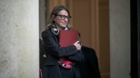 Régularisation des travailleurs sans-papiers : la liste des métiers en tension sera actualisée "fin février" | Compétences de base, illettrisme, illectronisme... | Scoop.it