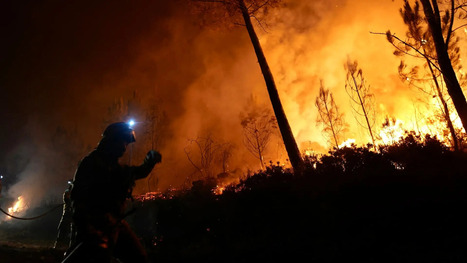SPAIN AND PORTUGAL : Record-Breaking Wildfires Scorch Europe in 2025 | CIHEAM Press Review | Scoop.it