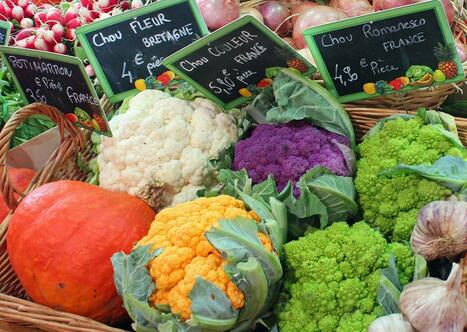Strat&eacute;gie nationale pour l'alimentation, la nutrition et le climat :&nbsp;une volont&eacute; d'agir "&agrave; l'&eacute;chelle des territoires" | Paysage - Environnement | Scoop.it