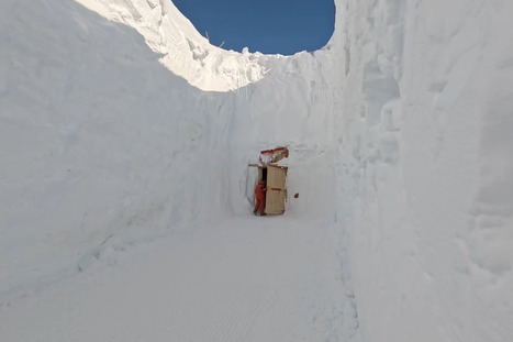 En Antarctique, un sanctuaire inaugur&eacute; pour conserver les archives glaciaires de la plan&egrave;te &agrave; &minus;&nbsp;52&nbsp;&deg;C | Insect Archive | Scoop.it