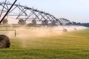 Projet de loi d'urgence agricole : des inqui&eacute;tudes croissantes pour les collectivit&eacute;s, entre nouvelles obligations et compensations incertaines | Veille juridique du CDG13 | Scoop.it