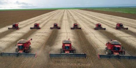 Le secteur agricole, gisement d’emplois pour la jeunesse africaine | AFRIQUES | Scoop.it