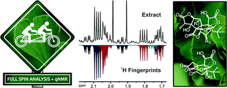 The Tandem of Full Spin Analysis and qHNMR for the Quality Control of Botanicals Exemplified with Ginkgo biloba | Natural Products Chemistry Breaking News | Scoop.it