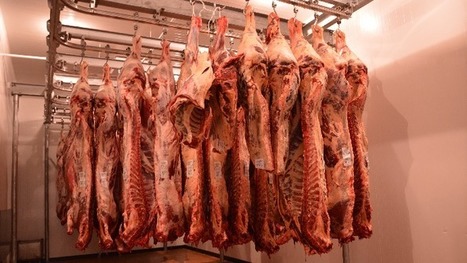 La Commission européenne suspend l'aide au stockage privé de viande bovine | Actualité Bétail | Scoop.it