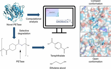 In silico structural analysis and biochemical characterization of a novel PETase from Antarctic Streptomyces sp. | csb | RMH | Scoop.it
