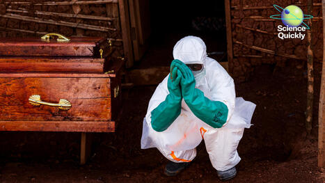 Rubio&rsquo;s Ebola plan alarms experts amid rising case | Virology News | Scoop.it