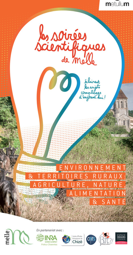 Une politique &eacute;nerg&eacute;tique soutenable face aux d&eacute;fis de la disponibilit&eacute; des ressources et du r&eacute;chauffement climatique | Espace Mend&egrave;s France : culture & m&eacute;diation scientifiques | Espace Mendes France | Scoop.it
