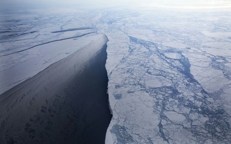 Océan Arctique: moratoire sur la pêche commerciale avant même sa possibilité | Biodiversité | Scoop.it