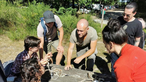 Lacroix-Falgarde. Recrutement de jeunes au secours des animaux sauvages en détresse | Lacroix-Falgarde | Scoop.it