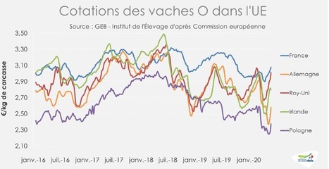 Un march&eacute; europ&eacute;en de la viande bovine tr&egrave;s disparate &agrave; l&rsquo;heure du d&eacute;confinement | Actualit&eacute; B&eacute;tail | Scoop.it