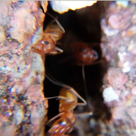 Flip HD Camera Mods and Tips | Into the Driver's Seat | Scoop.it