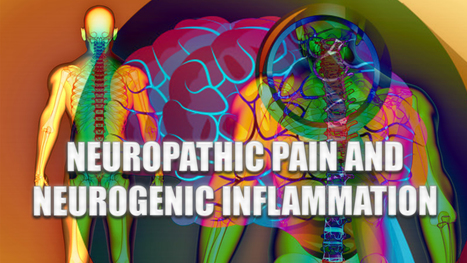Neuropathic Pain And Neurogenic Inflammation | El Paso, TX. | | Spine Health & Spinal Hygiene | Scoop.it