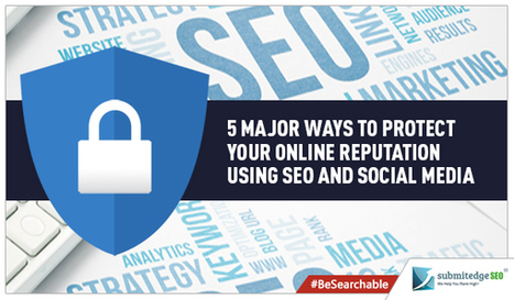 5 Major Ways To Protect Your Online Reputation Using SEO And Social Media | Tampa Florida Marketing | Scoop.it