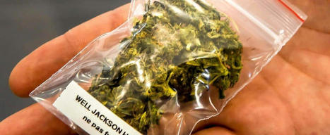 Canada - Le cannabis légal représente maintenant plus de la moitié des ventes | Débat cannabis | Scoop.it
