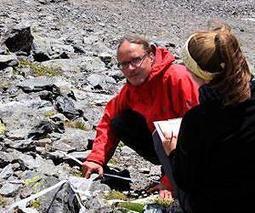 Climate change is altering mountain vegetation - some alpine meadows could disappear within the next few decades | CLIMATE CHANGE WILL IMPACT US ALL | Scoop.it