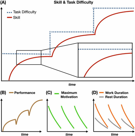 A first-principles mathematical model integrates the disparate timescales of human learning | Papers | Scoop.it