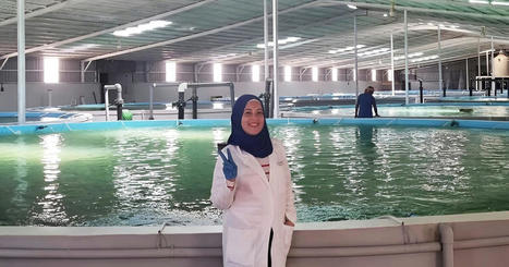 WOMEN: A leading light in EGYPT’s aquaculture sector | CIHEAM Press Review | Scoop.it