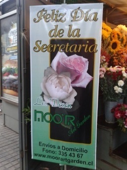 Conoces TheFunTheory? | Empresa Sostenible | Scoop.it