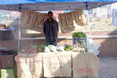 Off Grid Solar System for an Urban Farm | Sustainability & Education | Scoop.it