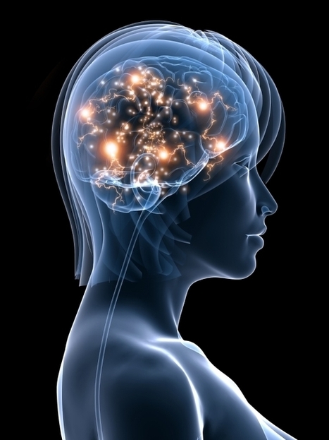 Neuroplasticity Coach: How Brain States Become Enduring Traits | All About Coaching | Scoop.it