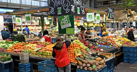 Nancy. Vers une transformation complète du marché central et une gestion privée dès 2027 | veille territoriale | Scoop.it