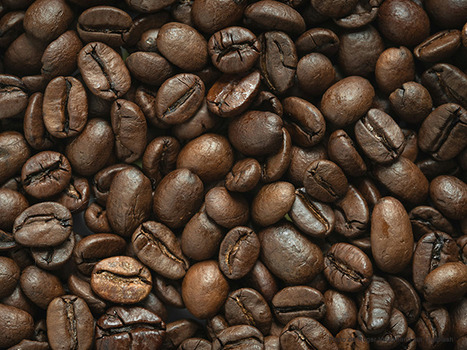 V-Biotech et AgroParisTech d&eacute;posent un brevet commun | Innovation Agro-activit&eacute;s et Bio-industries | Scoop.it