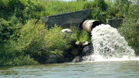 Zones humides et eaux us&eacute;es&nbsp;: &nbsp;attention, saturation&nbsp;! | Regards crois&eacute;s sur la transition &eacute;cologique | Scoop.it