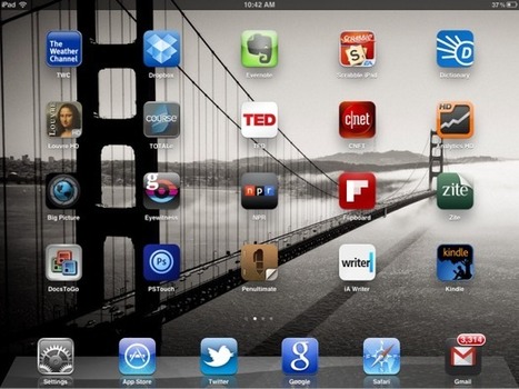 Jason Hiner's 22 most useful iPad apps | TechRepublic | Apple, Mac, MacOS, iOS4, iPad, iPhone and (in)security... | Scoop.it