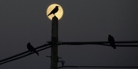 El reto del Aprendizaje Basado en Retos | TIC & Educaci&oacute;n | Scoop.it