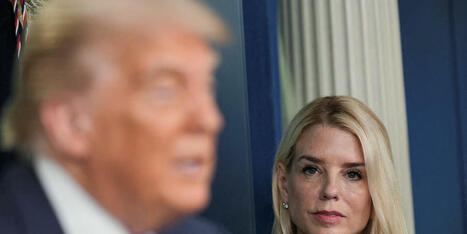 'Very sketchy': Ex-Trump aide says Pam Bondi gave a license to commit crime - Raw Story | Operation Phobos | Scoop.it